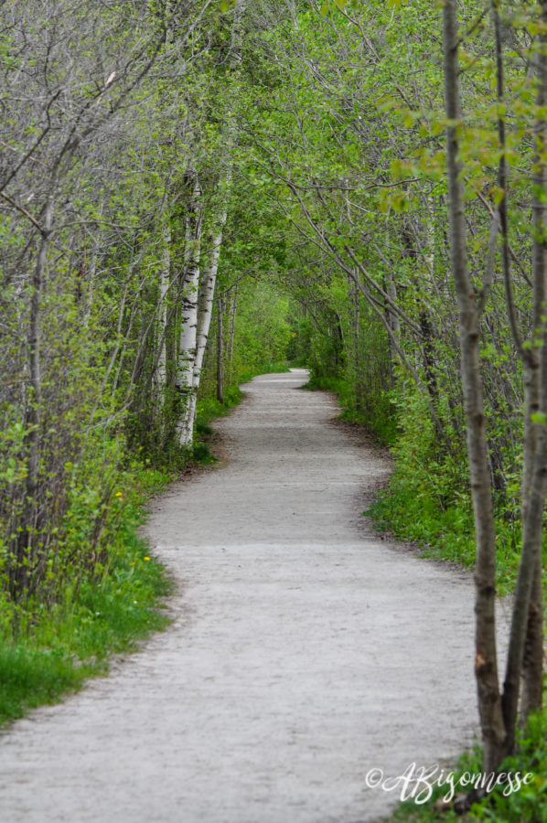 Marais aux Cerises, Magog